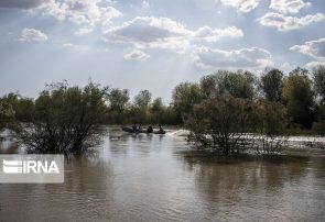 طبیعت زیبای خوزستان/ پارک ملی کرخه