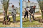 گزارش تصویری از کاشت نهال توسط مهندس کمایی شهردار خرمشهر و آقای کعبی نائب رئیس شورای اسلامی شهر خرمشهر به مناسبت روز درختکاری